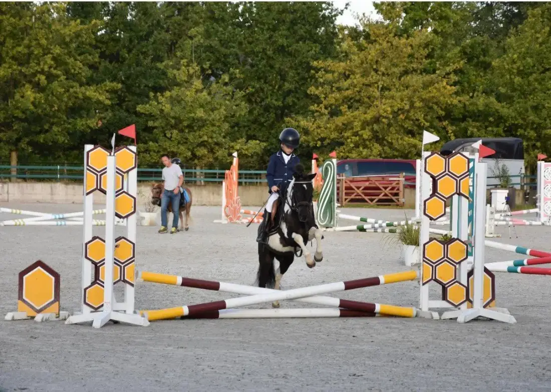 Pony springt over een hindernis op het buitenterrein