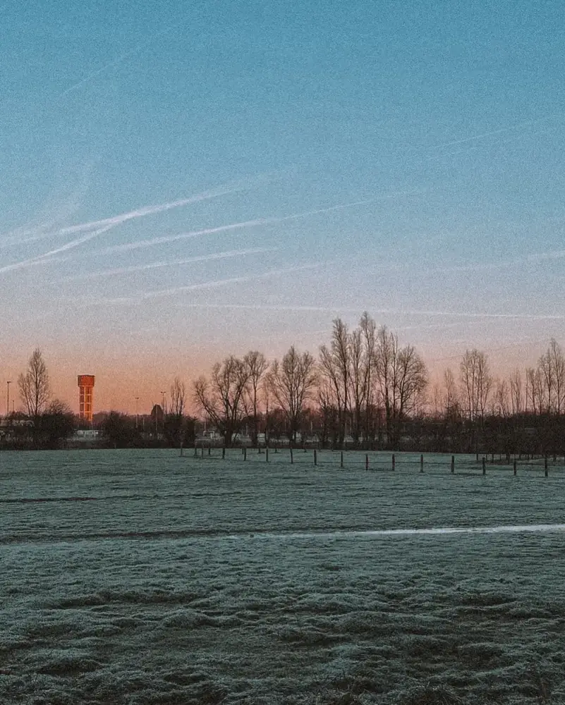 Weide bij valavond
